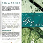 Carta de Gin Tonics
